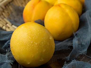 九游电子官网基地展示五